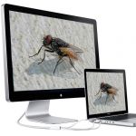 Förstoringen på ett digitalt mikroskop kan skilja beroende på bildskärments storlek.