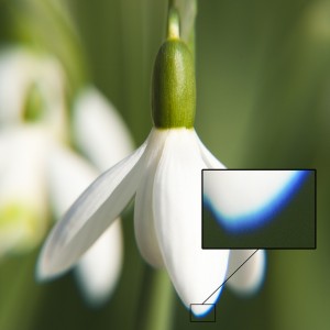 Färgblödning i makrofotografi (utan akromatisk lins).